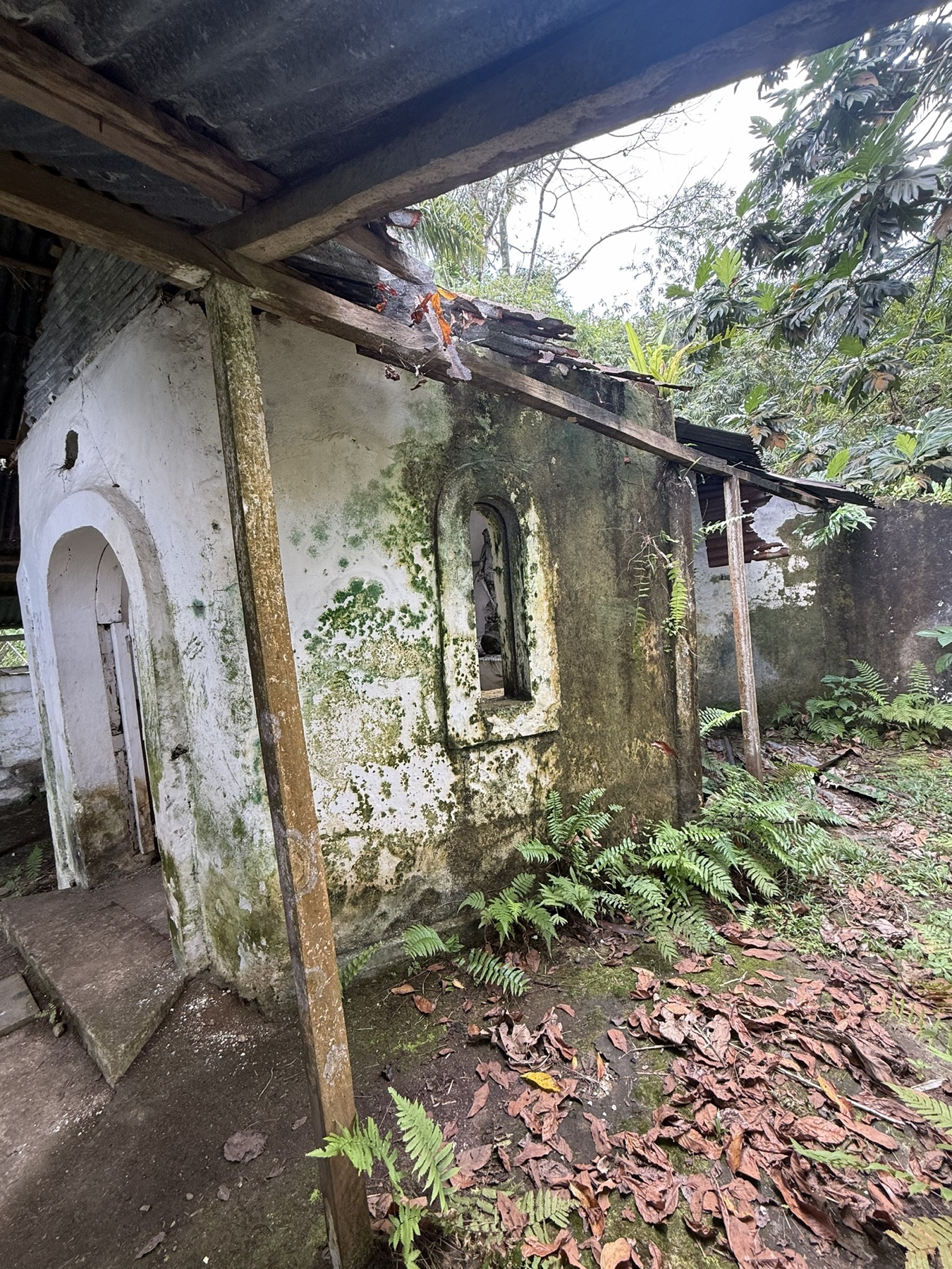 Moss-covered walls of the chapel in the forest