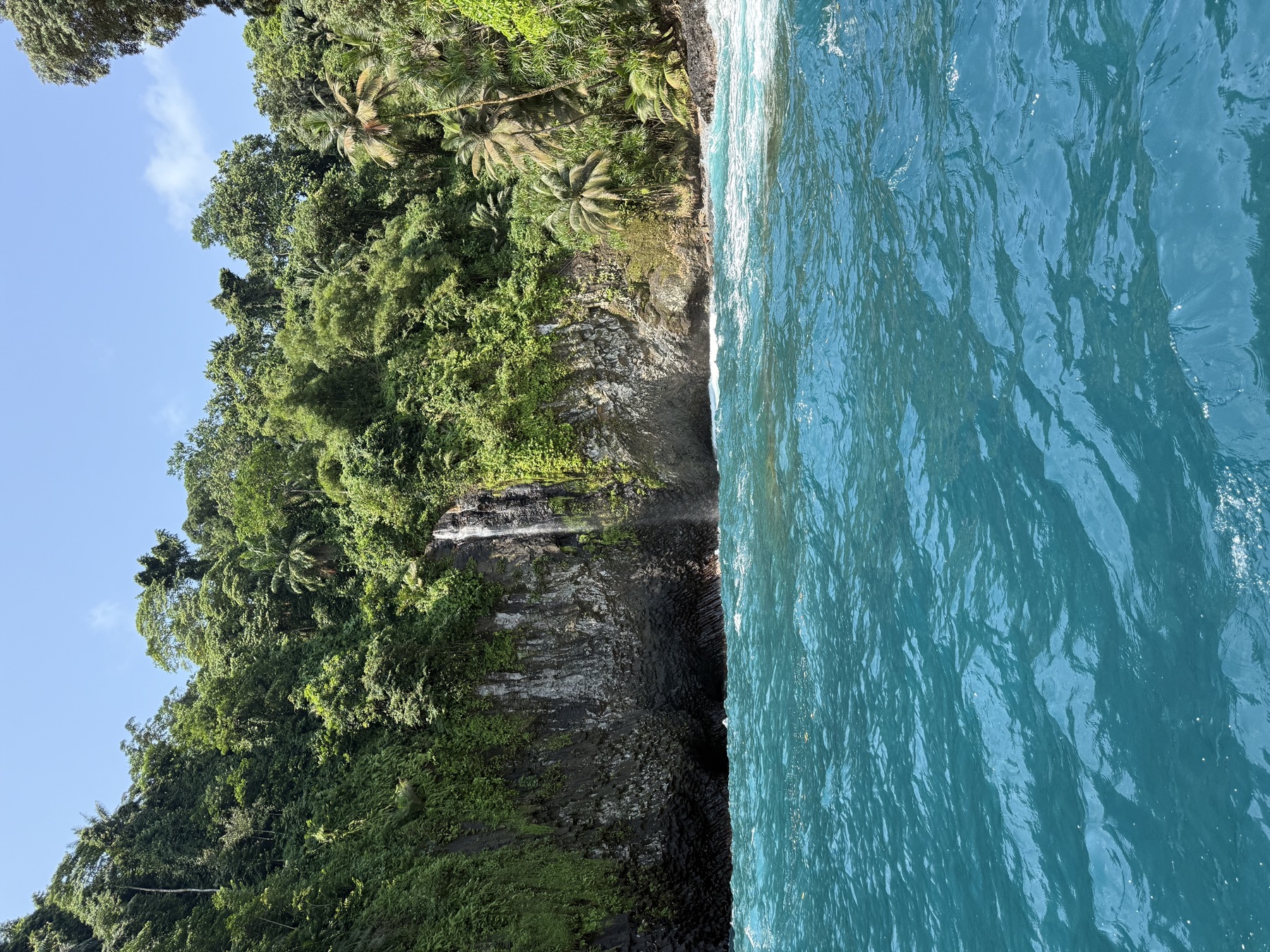 Waterfall meeting the ocean