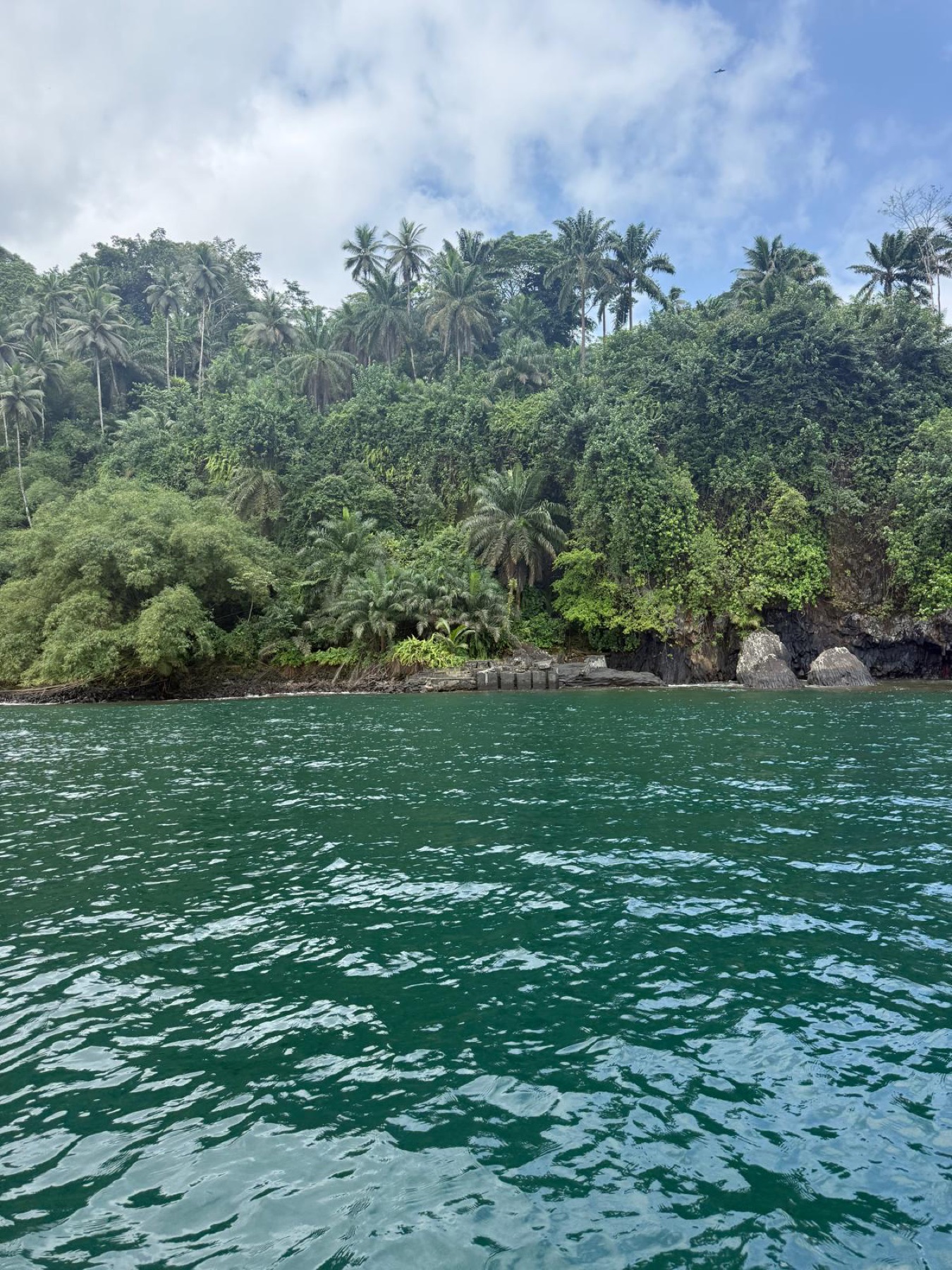 Forested coast of São Miguel seen from the sea